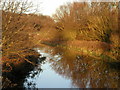 The Pocklington Canal from Hagg Bridge