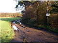 Public Footpath to Allerthorpe Common