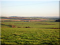 Fields Near Midton