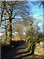 Lane past Rough Torrs Barn