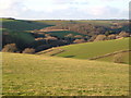 View near Netton