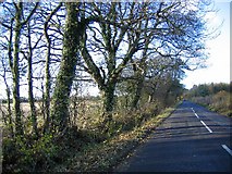 SU0094 : Heading towards Oaksey on the road from Somerford Keynes by Tony Woodward