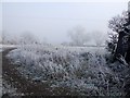 Frosty Field, Aston Abbotts