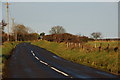 The Slievetrue Road, Knockagh