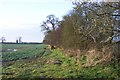 SP1506 : Felled tree in the hedgerow by Jonathan Billinger