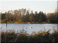 The lakes near Seaton