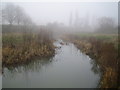 River Roding near Buckhurst Hill