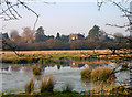 Coldwaltham from the Old Canal