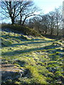 Path across access land at Cudlipptown