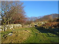 Beside the bridleway above Cudlipptown