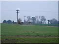 View towards North Farm, Horton