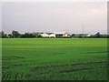 South Carolina Farm