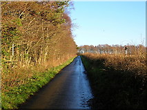 NS3928 : Minor Road Near High Wardneuk by Iain Thompson