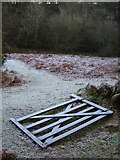 SX5481 : Fallen gate by the Baggator Brook by Derek Harper