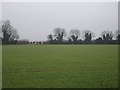 Farmland near Woodcutts - Christmas Day 2006