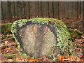 SU2608 : Moss covered log near Millyford Bridge, New Forest by Peter Facey