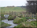 Avenue Washlands Nature Reserve Tupton