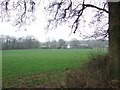 View Across Fields to Stablebarn Farm