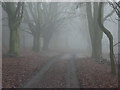 Track on Watlington Hill