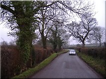 SO4640 : The road to Upper Breinton by Roger Cornfoot