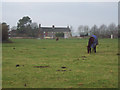 Horses Grazing in Revels Field