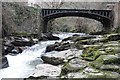 SO2213 : Clydach Gorge Iron Bridge by RAY JONES