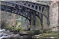 SO2213 : Clydach Gorge Iron Bridge by RAY JONES