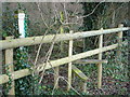 Stile and Permissive Footpath into Greatstone Coppice