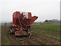 Beet field, Bleathwood