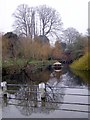 The Duck Pond, Abbey Street, Cerne Abbas