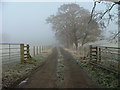 Track to Tullielarach Farm