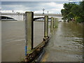 High Tide at Putney Bridge