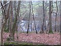 Black Pond from Rake Hanger