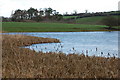 Skillyscolban Lake near Dromore