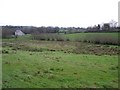 H8884 : Ballygroby Townland by Kenneth  Allen