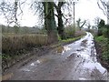 H8784 : Road at Ballygroby by Kenneth  Allen
