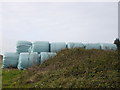 Bales on Westbury Farm