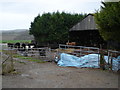 Cows and shed on Bussey Stool Farm