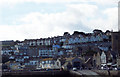 Overlooking the Harbour