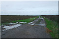 Farm track at Westborough Lodge