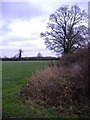 Fields north of Milbourne