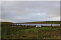 pond near Shawfield Farm