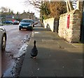 Main Street Haydon Bridge