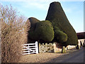 SU0625 : Entrance to Croucheston Farmhouse by Maigheach-gheal