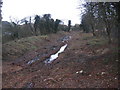 Droitwich Narrow Canal restoration