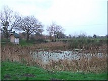 TG3713 : Pond on School Lane by Martyn Davies