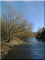 River Avon between Haxton and Netheravon