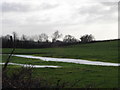 Early River Allen by Monkton Up Wimborne