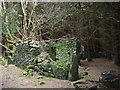 Moss-covered ruin on the main forest track