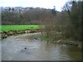 View NE upstream of the river Fal